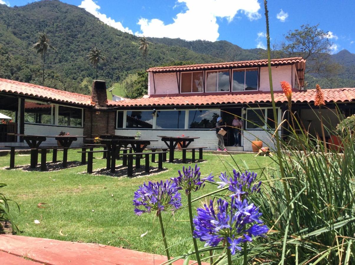 Palmas De Cocora Casa de hóspedes Salento Exterior foto