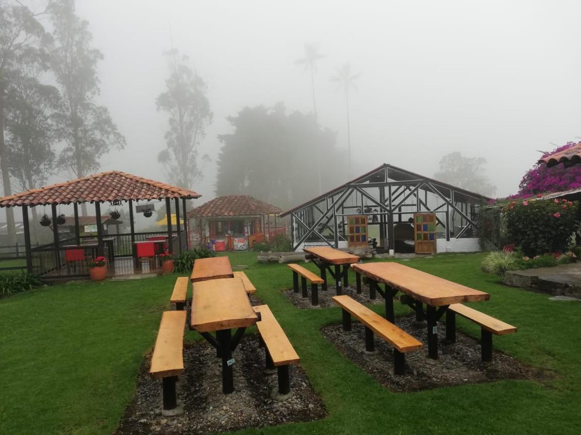 Palmas De Cocora Casa de hóspedes Salento Exterior foto